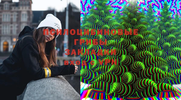 амф Сосновка