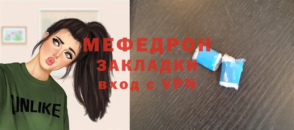 индика Гусев
