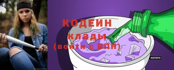 индика Гусев
