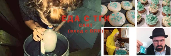 индика Гусев