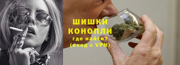 индика Гусев