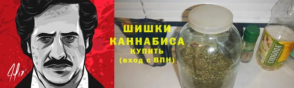 мдпв Гусь-Хрустальный