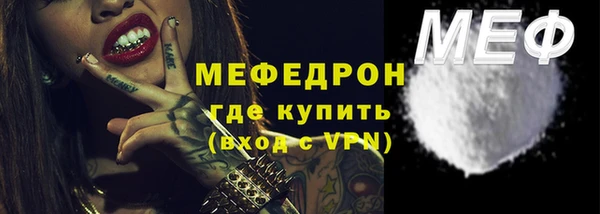 индика Гусев