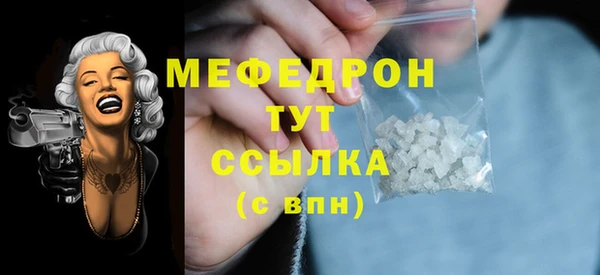 мдпв Гусь-Хрустальный