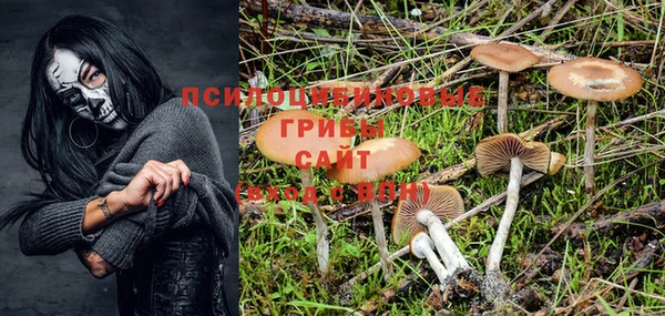 бошки Гусиноозёрск