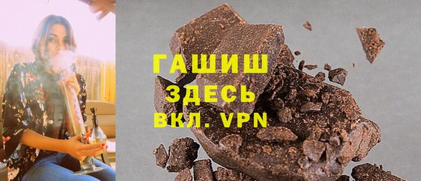 индика Гусев