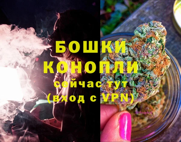 бошки Гусиноозёрск