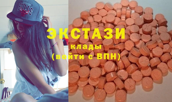 индика Гусев