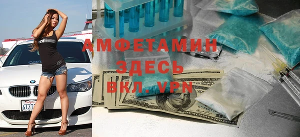 индика Гусев