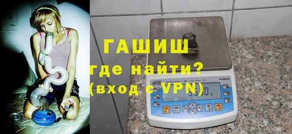 индика Гусев