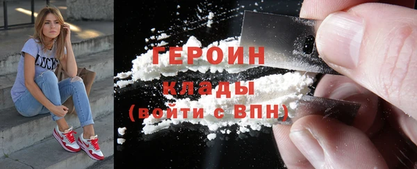 индика Гусев
