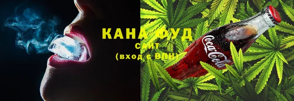 индика Гусев