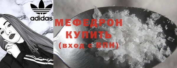индика Гусев