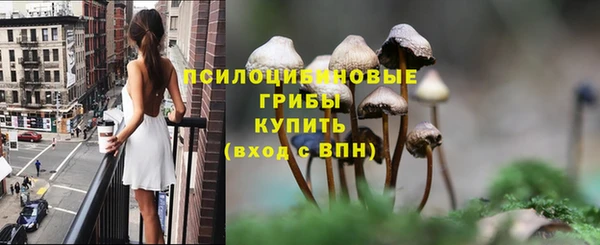 мдпв Гусь-Хрустальный