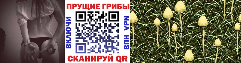 Купить где  Фрязино  Псилоцибиновые грибы мухоморы 